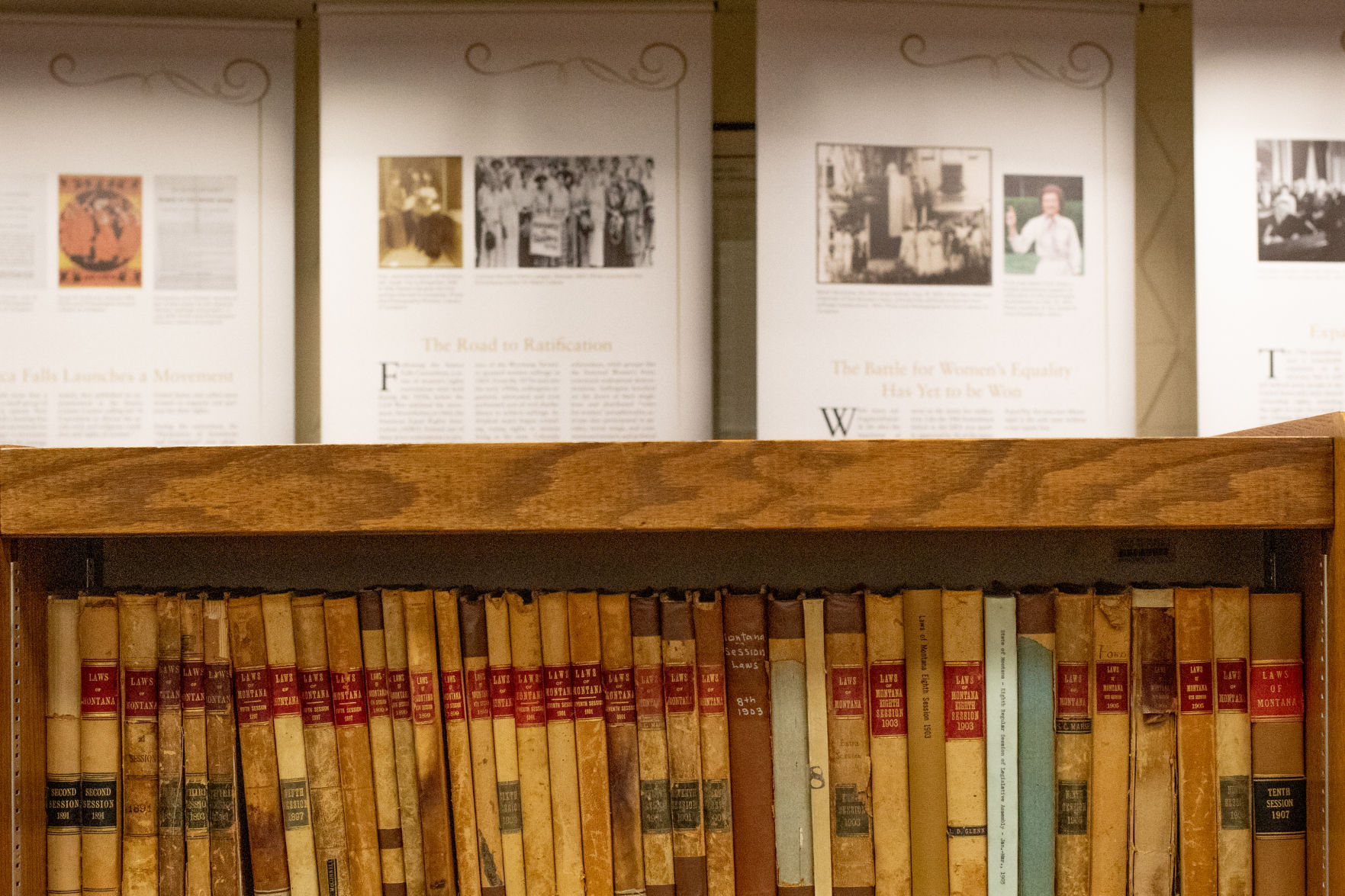 Stanhope_LawLibrary2.jpg